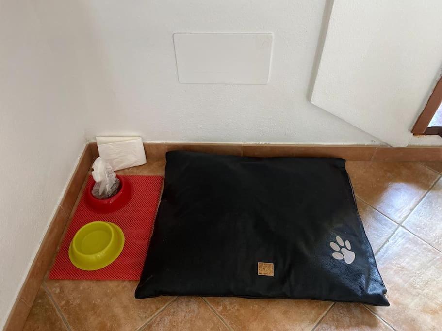 Casa Gina Lejlighed Porto Torres Eksteriør billede